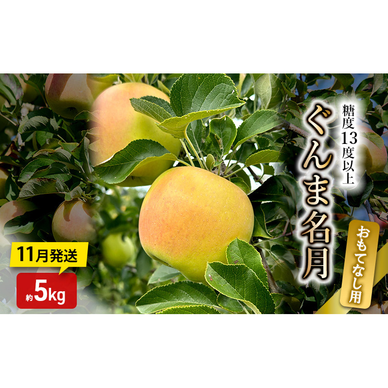 りんご【11月発送】糖度13度以上 ぐんま名月 おもてなし品  約5kg【青森りんご】