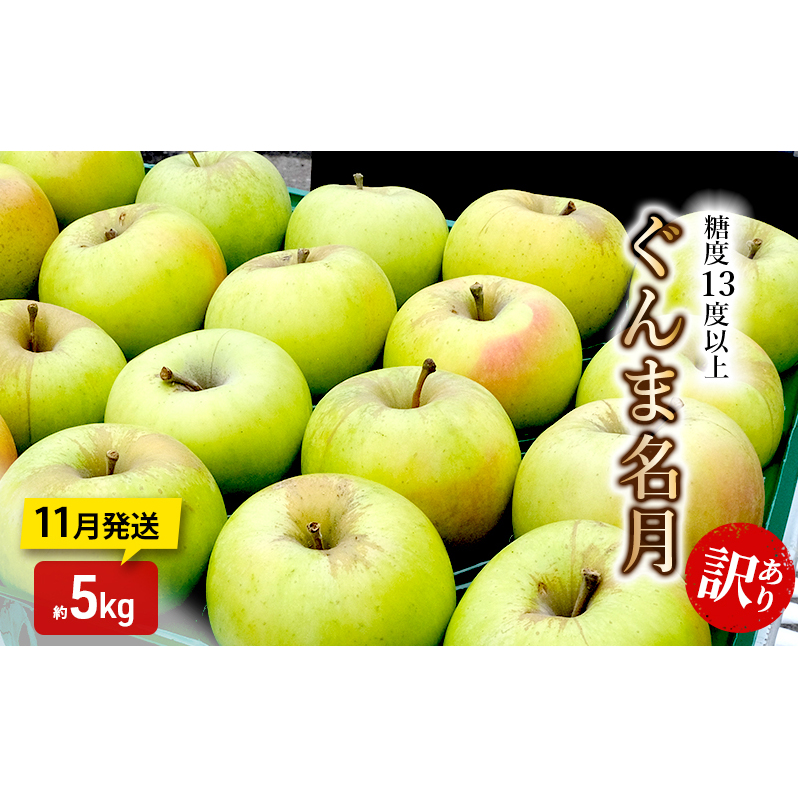 りんご【11月発送】糖度13度以上 訳あり 家庭用 ぐんま名月 約5kg【青森りんご】