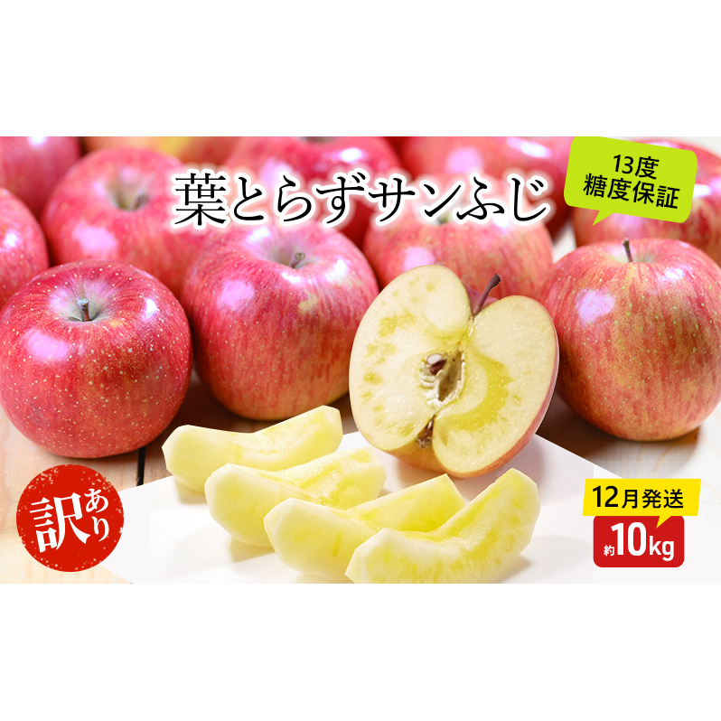 りんご【12月・1月発送】蜜入り 糖度13度以上 訳あり 家庭用 葉とらず サンふじ 約10kg【青森りんご 果物 フルーツ デザート 食後 おやつ 産地直送】