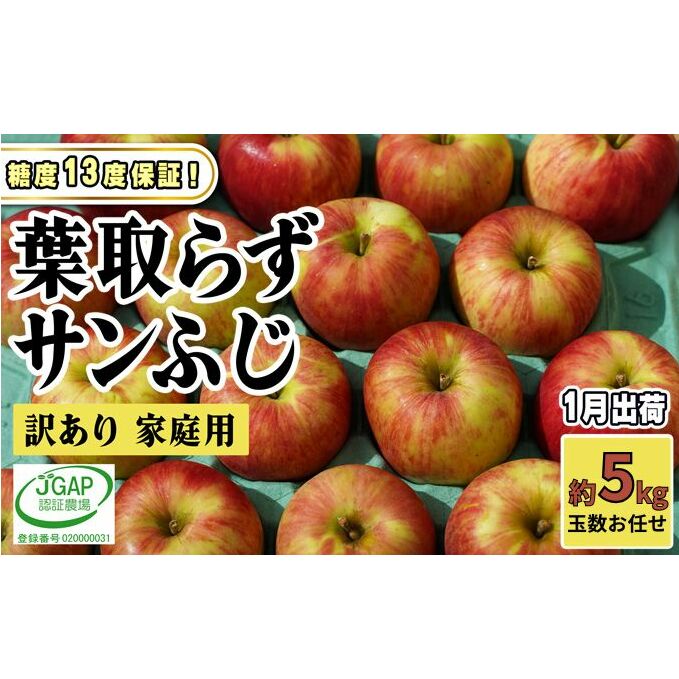 1月発送【 糖度保証 】家庭用 葉取らず サンふじ 約 5kg【 訳あり 】鶴翔りんごGAP部会 青森県産 津軽産 リンゴ 林檎 果物 フルーツ デザート 甘味
