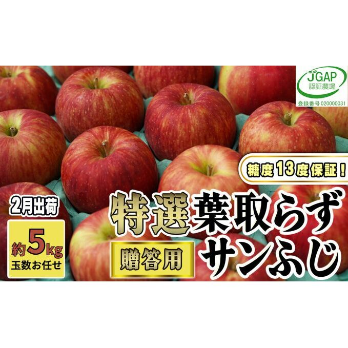 2月発送【 糖度保証 】贈答用 葉取らず サンふじ 約 5kg 【 特選 】鶴翔りんごGAP部会 青森県産 津軽産 リンゴ 林檎 果物 JGAP認証 安心 丸かじり 甘い 高糖度 ギフト 