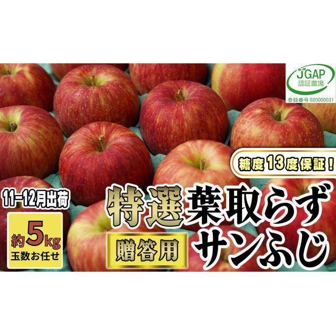 11~12月発送【 糖度保証 】 贈答用 葉取らず サンふじ 約 5kg 【 特選 】鶴翔りんごGAP部会 青森県産 津軽産 リンゴ 林檎 果物類 高糖度 ギフト
