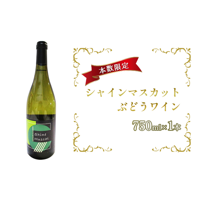 シャインマスカットぶどうワイン 750ml×1本 白ワイン お酒 シャインマスカット種 酒 アルコール