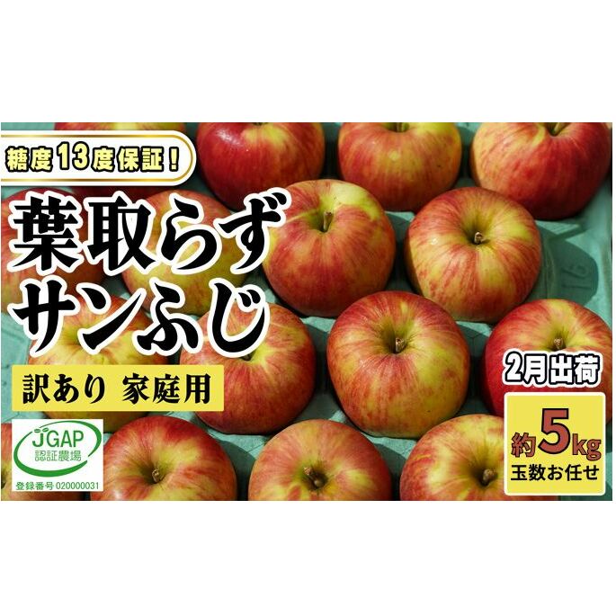 2月発送【 糖度保証 】家庭用 葉取らず サンふじ 約 5kg【 訳あり 】鶴翔りんごGAP部会 青森県産 津軽産 リンゴ 林檎 果物 フルーツ デザート 甘味