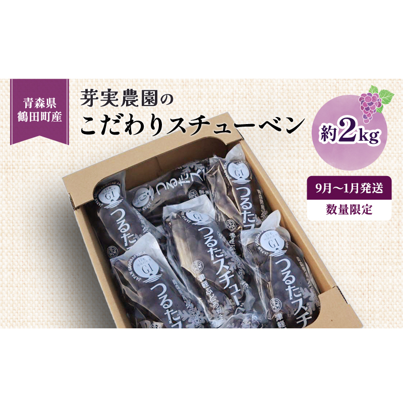 【 数量限定 】芽実農園 農家直送 スチューベン 約 2kg【 9月 ~ 1月発送 】青森県鶴田町産 果物 フルーツ ぶどう おやつ デザート 食後 冬ぶどう