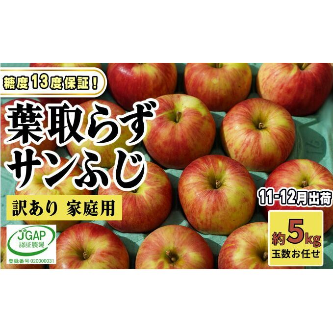 11~12月発送【 糖度保証 】家庭用 葉取らず サンふじ 約 5kg【 訳あり 】鶴翔りんごGAP部会 青森県産 津軽産 リンゴ 林檎 果物 フルーツ デザート 甘味 酸味 食感