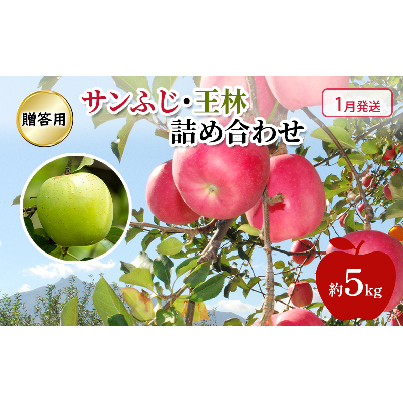 りんご 【 1月発送 】 糖度13度～贈答用 サンふじ ・ 王林 詰め合わせ 約 5kg