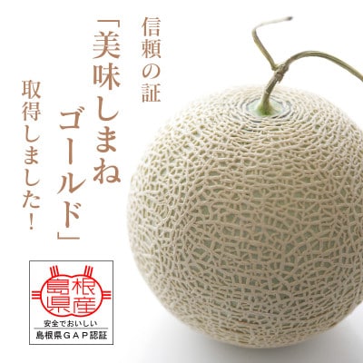 メロンパークのメロン【2026年8月より順次発送・2Lサイズ1玉】【1666374】