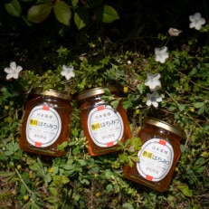 【希少品】自然のまま2年熟成させた100%天然の生はちみつ 160g×3個【1209309】