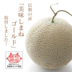 メロンパークのメロン【2025年10月発送・2Lサイズ1玉】【1264386】