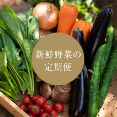 【発送月固定定期便】2024年8月発送開始 季節の野菜詰め合わせセット全4回【配送不可地域:離島】【4005232】