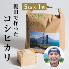 青野山の湧水と朝晩の寒暖差が育んだ棚田の甘~い米「コシヒカリ」(白米5kg×1袋)(令和7年産)【1524991】