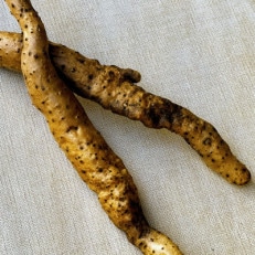 【栽培期間中、農薬・化学肥料不使用】自然薯(300g[1～2本])【配送不可地域：離島】【1532194】