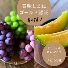 【2026年9月より順次発送・先行受付】アールスメロン2L2玉+ぶどう3種のフルーツ堪能セット【配送不可地域:離島】【1553256】