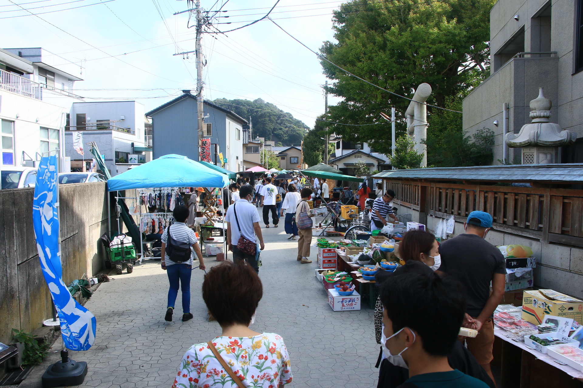 千葉県勝浦市の返礼品や地域・問合せ情報 | JRE MALLふるさと納税