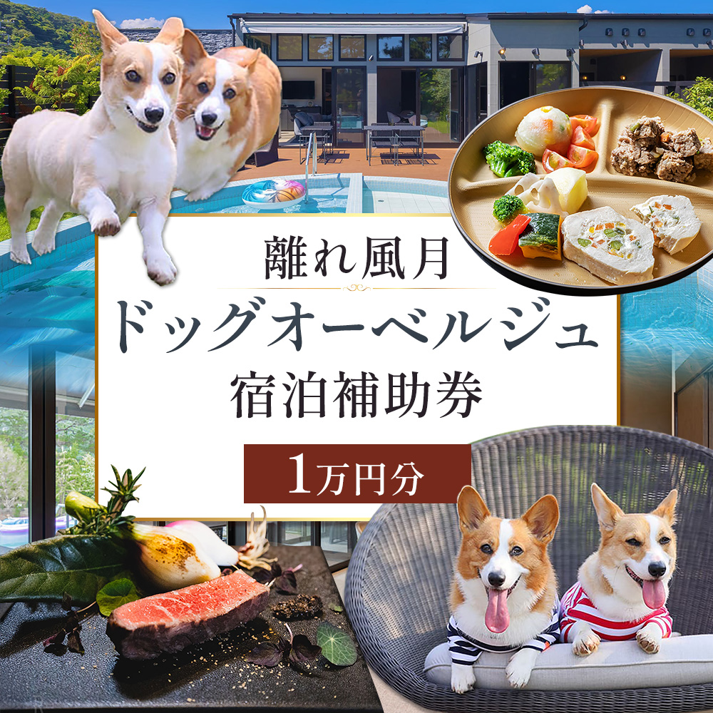 宿泊 離れ 風月 ドッグオーベルジュ 宿泊補助券 1万円分[30日以内に出荷予定(土日祝除く)]離れ 風月 千葉県 勝浦市 ホテル お食事 犬 ワンちゃん わんちゃん ドッグラン ドッグフード ペット 旅行---kastuura_hgt_1---