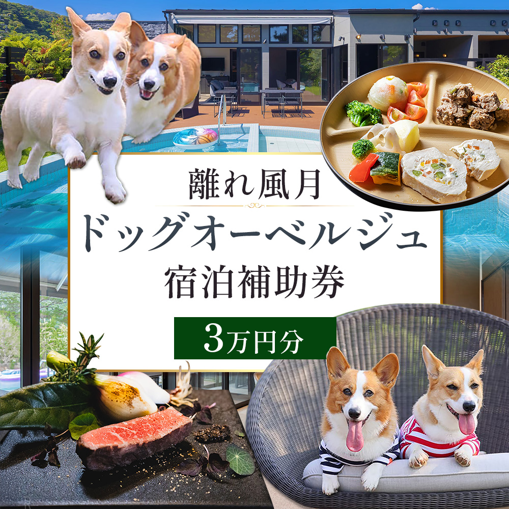 宿泊 離れ 風月 ドッグオーベルジュ 宿泊補助券 3万円分[30日以内に出荷予定(土日祝除く)]離れ 風月 千葉県 勝浦市 ホテル お食事 犬 ワンちゃん わんちゃん ドッグラン ドッグフード ペット 旅行---kastuura_hgt_2---