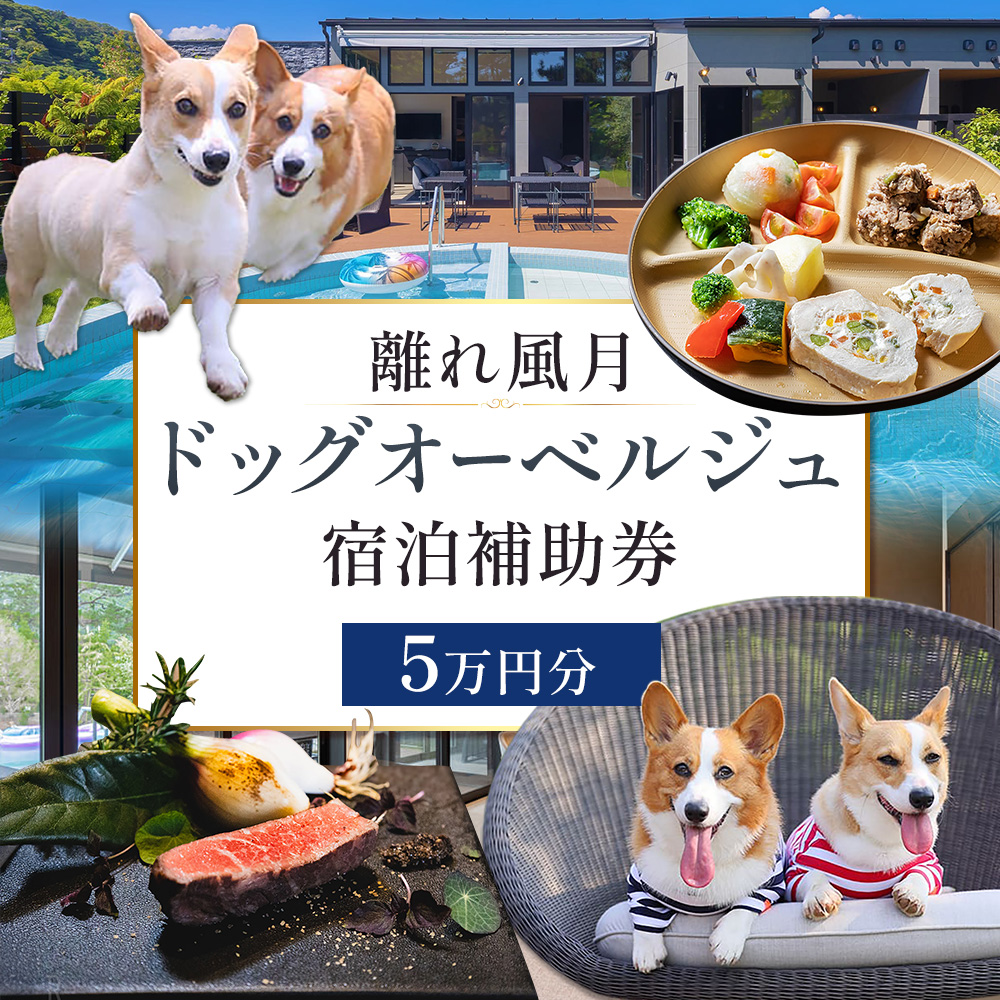 宿泊 離れ 風月 ドッグオーベルジュ 宿泊補助券 5万円分《30日以内に出荷予定(土日祝除く)》離れ 風月 千葉県 勝浦市 ホテル お食事 犬 ワンちゃん わんちゃん ドッグラン ドッグフード ペット 旅行---kastuura_hgt_3---