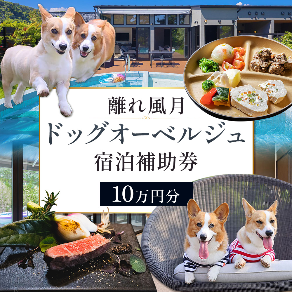 宿泊 離れ 風月 ドッグオーベルジュ 宿泊補助券 10万円分 [30日以内に出荷予定(土日祝除く)]離れ 風月 千葉県 勝浦市 ホテル お食事 犬 ワンちゃん わんちゃん ドッグラン ドッグフード ペット 旅行---kastuura_hgt_4---