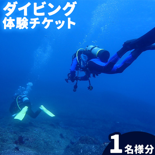 体験ダイビングチケット 勝浦ダイビング協会[90日以内に出荷予定(土日祝除く)]体験 ダイビング チケット アウトドア アクティビティ 海---kastuura_divn_1---