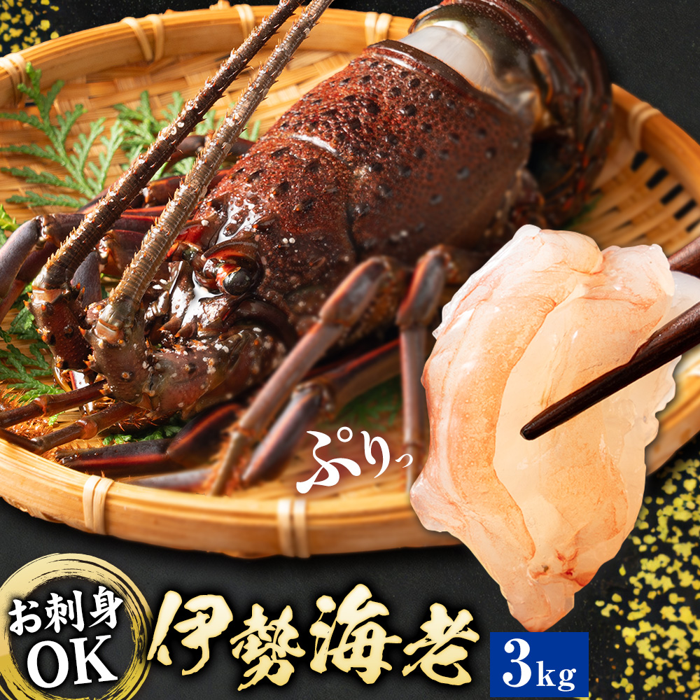 【刺身OK】千葉県勝浦産 生冷活〆 天然伊勢海老 3kg 6-11尾入 株式会社串浜水産《90日以内に出荷予定(土日祝除く)》千葉県 勝浦市 伊勢海老 海老 えび【配送不可地域あり】（離島）【1506779】---kastuura_kshm_6---