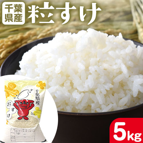 千葉県産 粒すけ 精米 5kg《90日以内に出荷予定(土日祝除く)》千葉県 勝浦市 米 お米 千葉県産 精米【配送不可地域あり】---kastuura_iws_4---