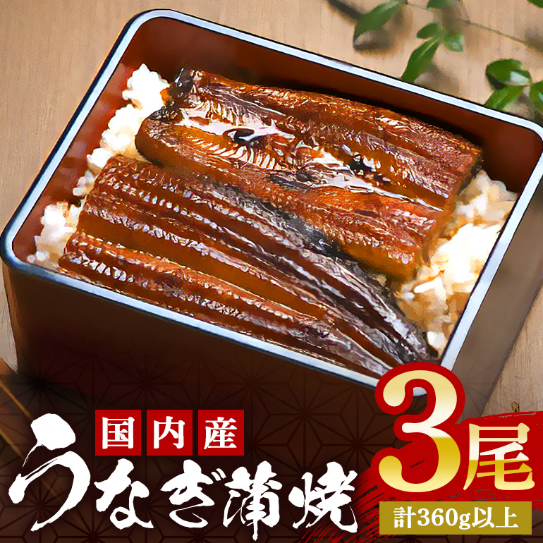 やわらか国内産 うなぎ蒲焼 満足サイズ! 120~140g 3尾 計360g以上 ふっくら蒲焼き ブランド鰻使用 秘伝のタレ・山椒付き 湯煎で簡単調理 うな丼 ちらし寿司 贈答用 ギフト 冷蔵配送 国産 茨城県 潮来市 (A23-013)