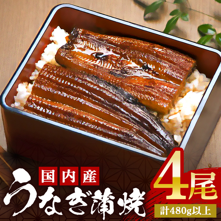 やわらか国内産 うなぎ蒲焼 満足サイズ! 120~140g 4尾 計480g以上 ふっくら蒲焼き ブランド鰻使用 秘伝のタレ・山椒付き 湯煎で簡単調理 うな丼 ちらし寿司 贈答用 ギフト 冷蔵配送 国産 茨城県 潮来市 (A23-014)