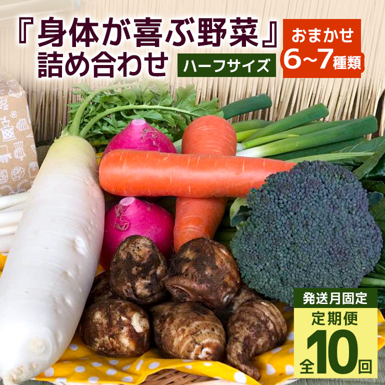 <発送月固定定期便>『身体が喜ぶ野菜』詰め合わせ ( おまかせ ハーフサイズ) 定期便 野菜 詰合せ 全10回 詰め合わせセット お任せ 野菜定期便 季節の野菜 セット 有機栽培 EM農法 産地直送 新鮮 野菜ボックス ギフト 家庭用 茨城県 潮来市 (A03-022)