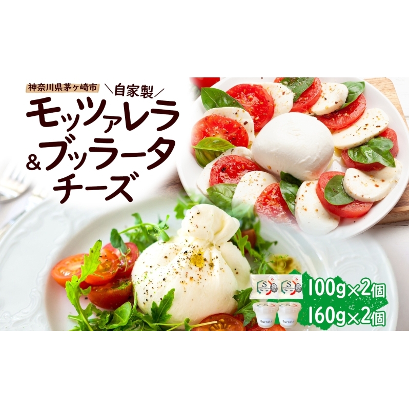 【8/7寄付額変更予定】自家製 チーズ 詰め合わせ モッツァレラチーズ 100g  ブッラータチーズ180g 各2個 出来立て 神奈川県産 幻のチーズ  手作り 湘南 茅ケ崎 フレッシュチーズ  おつまみ ピザ