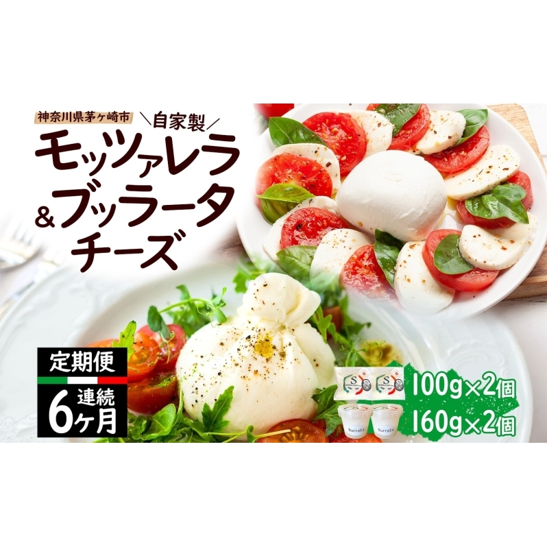 【6ヶ月定期便】自家製 チーズ 詰め合わせ モッツァレラチーズ 100g  ブッラータチーズ180g 各2個 出来立て 神奈川県産 幻のチーズ  モッツァレラ ブッラータ 手作り Osteria e Bottega S 神奈川県 湘南 茅ケ崎 フレッシュチーズ  おつまみ ピザ