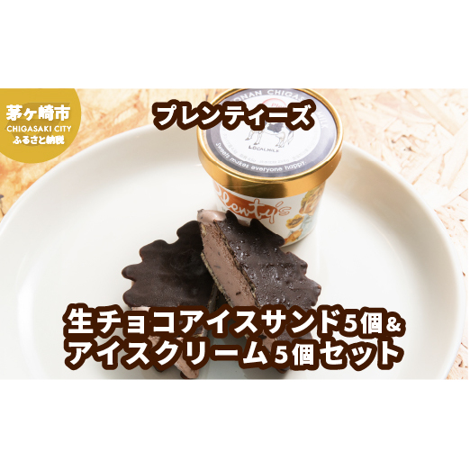 プレンティーズ 生チョコアイスサンド&アイスクリームセット 各5個 計10個 生チョコ チョコレート チョコ ワッフルサンド アイス バニラ ストロベリー クリームチーズ ミルク ご当地 お取り寄せ 送料無料 神奈川県 茅ヶ崎市