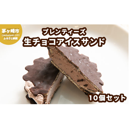 プレンティーズ 生チョコアイスサンド 10個 生チョコアイス 生チョコ アイス チョコレート チョコ チョコアイス チョコレートアイス 生チョコレートアイス 茅ヶ崎名物 ローカルアイス お取り寄せ 送料無料 神奈川県 茅ヶ崎市