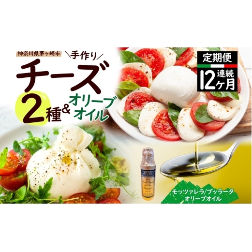 【ふるさと納税】12ヶ月定期便 フレッシュチーズ 2種 オリーブオイル セット モッツァレラ 100g 2個 ブッラータ 160g 1個 オリーブオイル 100ml チーズ おつまみ 送料無料 神奈川県 茅ヶ崎市