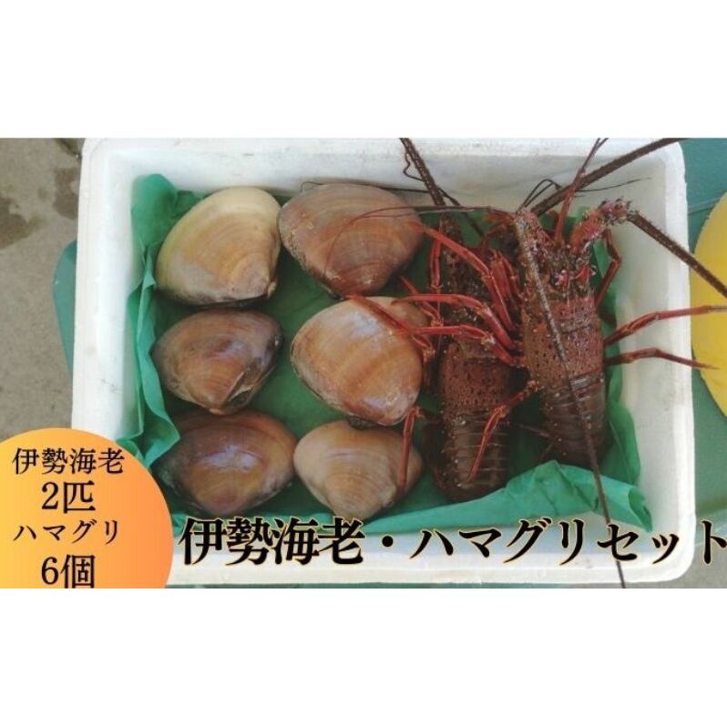 伊勢海老 ハマグリ 茅ヶ崎の幸 豪華 セット 新鮮 朝どれ 烏帽子産 漁師からそのままお届け　 魚貝類 