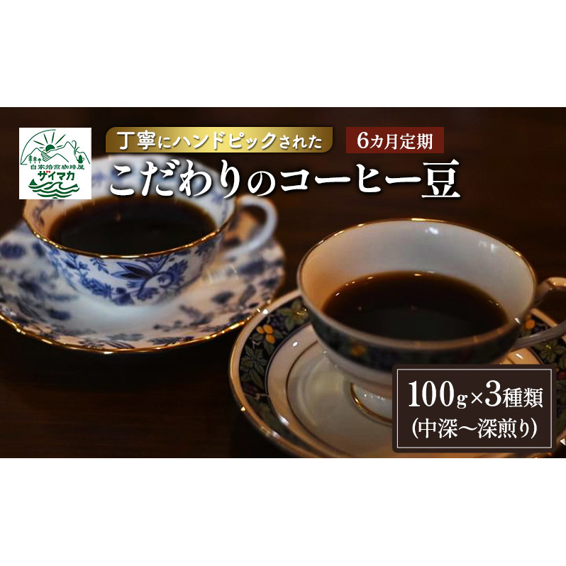 【6ヵ月定期便】丁寧にハンドピックされたこだわりのコーヒー豆100g×3種類(中深～深煎り)【粉】  珈琲 コーヒー豆 珈琲豆 豆 焙煎 自家焙煎 セット