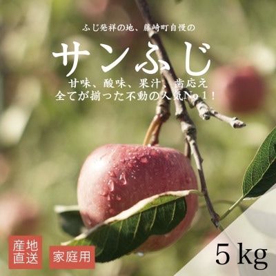 【産地直送】サンふじ 家庭用 5kg(12~20個)【配送不可地域:離島・沖縄】【1667200】
