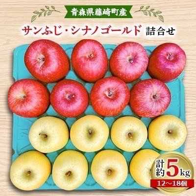 完熟サンふじ・シナノゴールド詰合せ　青森県藤崎町産りんご　家庭用　計約5kg【配送不可地域：離島・沖縄】【1123766】