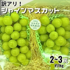 【訳あり】シャインマスカット2~3房 約1kg【配送不可地域:離島・沖縄】【1454125】