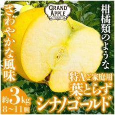 シナノゴールド 特Aご家庭用 約3kg(8~11個)【配送不可地域:離島・沖縄】【1552616】