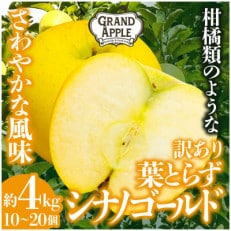 シナノゴールド 訳あり 約4kg(10~20個)【配送不可地域:離島・沖縄】【1552668】