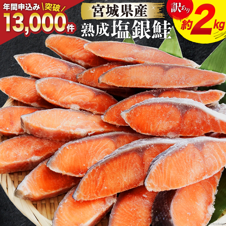訳あり 宮城県産 熟成 銀鮭 切身 約2kg [宮城東洋 宮城県 気仙沼市 20563343] 鮭 海鮮 魚介類 国産 さけ 鮭 甘口 サケ 鮭切身 シャケ 切り身 冷凍 おかず 弁当 支援 事業者支援 サーモン 魚 銀鮭切り身