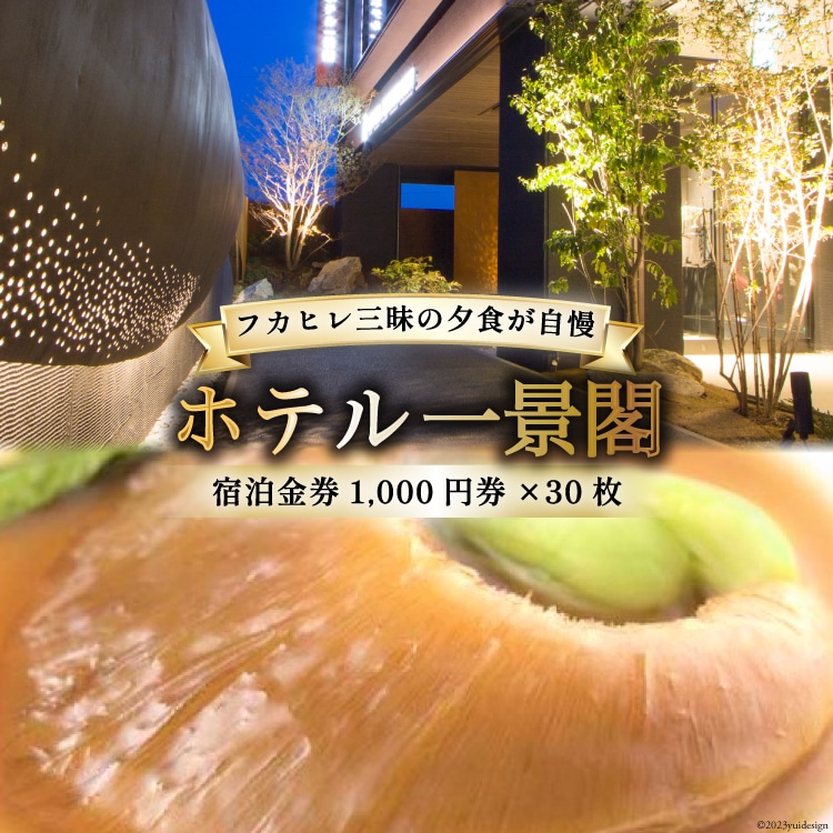 ホテル一景閣 宿泊金券1,000円券×30枚 [ホテル一景閣 宮城県 気仙沼市 20563828] 宿泊券 旅行 旅 食事
