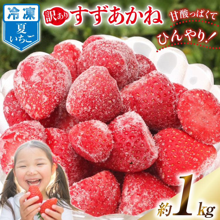訳あり 冷凍 夏いちご すずあかね 約1kg [水山養殖場 宮城県 気仙沼市 20564004] 果物 イチゴ いちご 苺 簡易包装 フルーツ