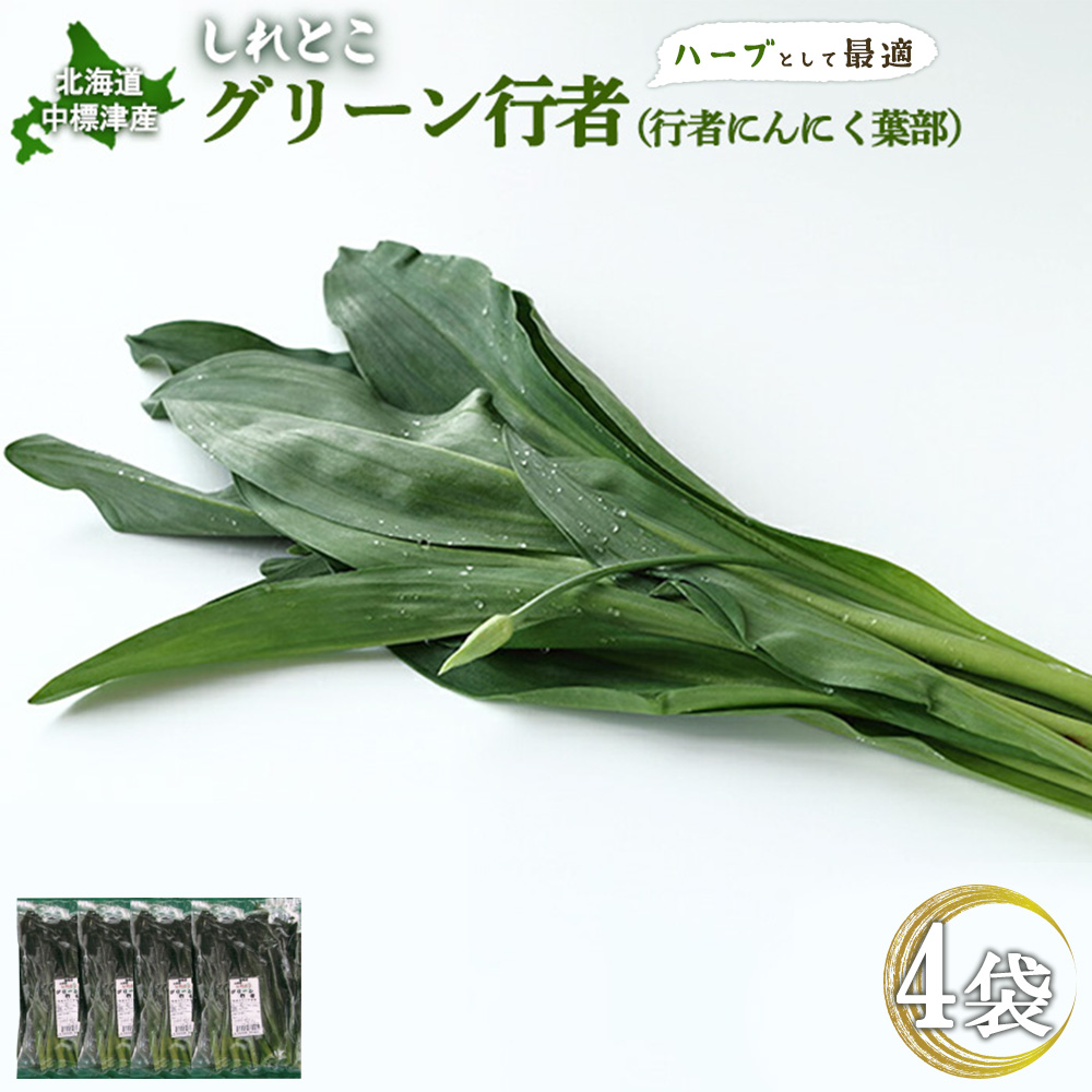 【ハーブとして最適】行者にんにくグリーン行者×4袋 （葉部）【20020】