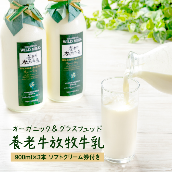 オーガニック＆グラスフェッド養老牛放牧牛乳900ml×3本 《ソフトクリーム券付き》【1300101】
