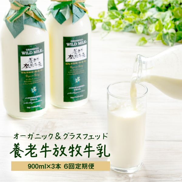【定期便：全6回】オーガニック＆グラスフェッド養老牛放牧牛乳900ml×3本【1301101】