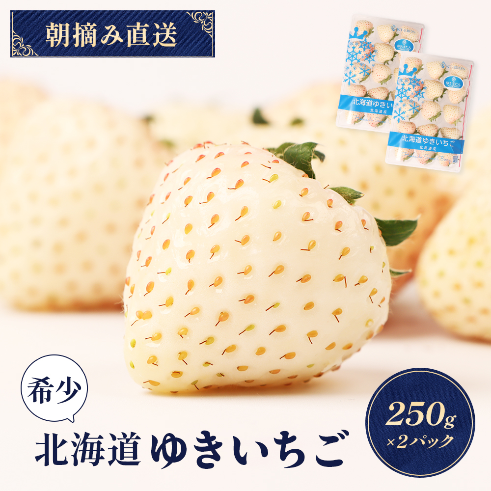 [受注後、随時発送!][北海道産]ゆきいちご(白いちご)ゆきぼたん 2Pセット 250g×2 計500g 苺 イチゴ 白いちご 一季成りイチゴ 希少 高級 ギフト お取り寄せ ふるさと納税 北海道 中標津 [59001]