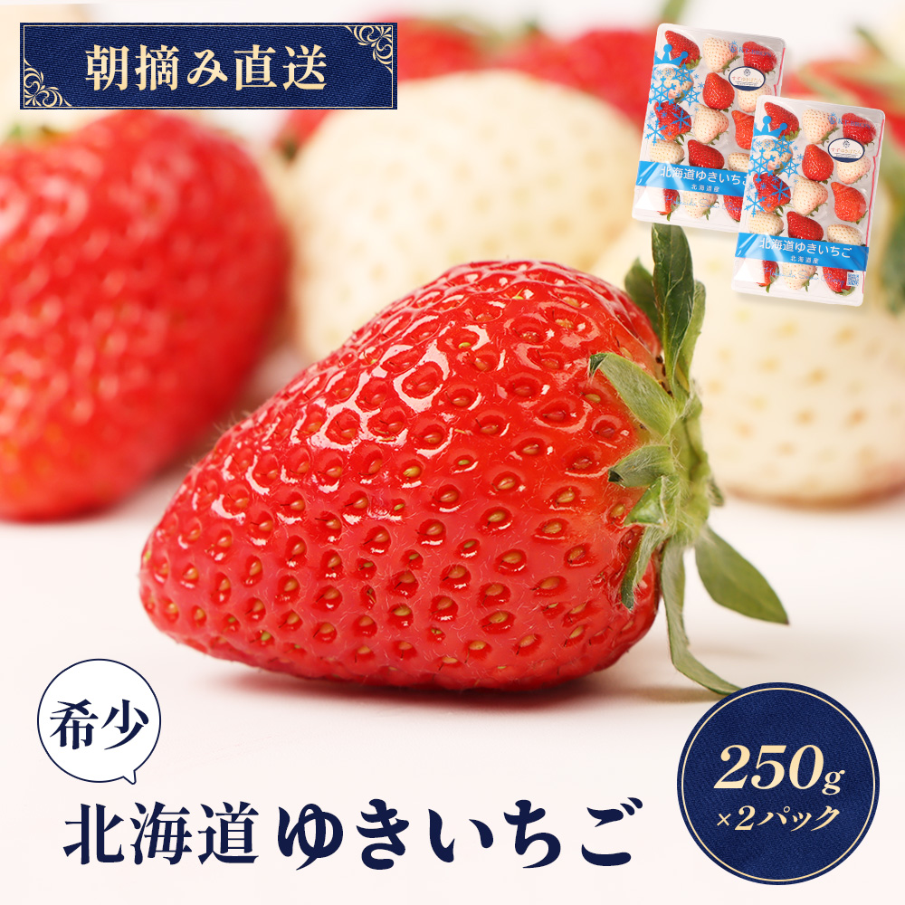 【11月以降、随時発送!】【北海道産】ゆきいちご(ゆきぼたん/紅ほっぺ)赤白MIX×2Pセット 250g×2 計500g 苺 白いちご 一季成りイチゴ 希少 ギフト お取り寄せ ふるさと納税 北海道 中標津【59003】