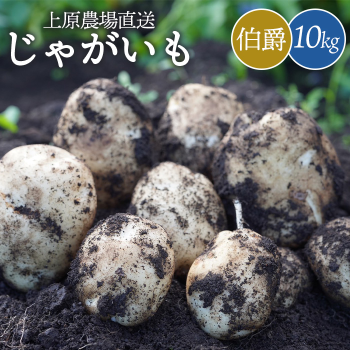 [先行予約]上原農場直送 じゃがいも(伯爵) 10kg[S〜2Lサイズ混合] [66003]